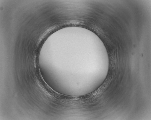 X0000054450112200507291001