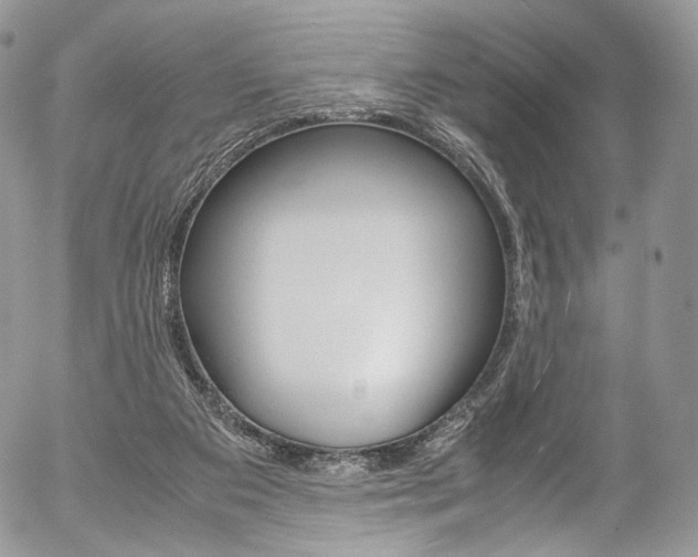 X0000054450113200507291001