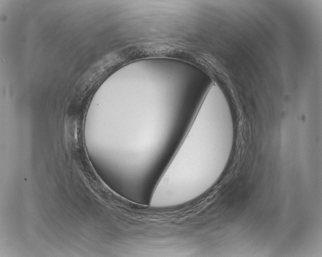 X0000054450115200507291001