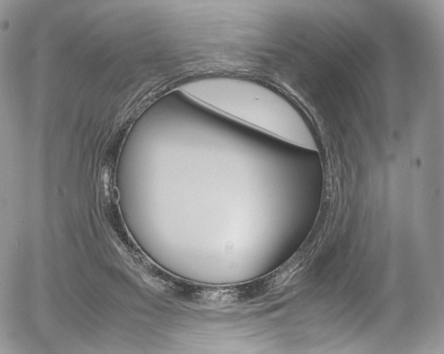 X0000054450117200507291001