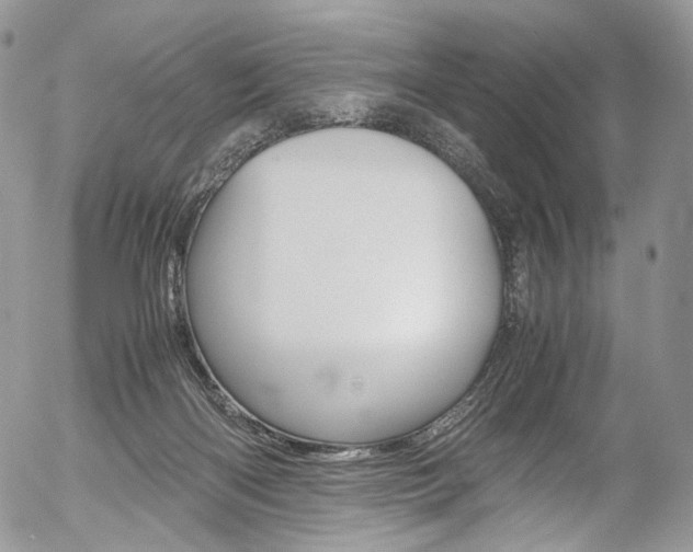 X0000054450122200507291001