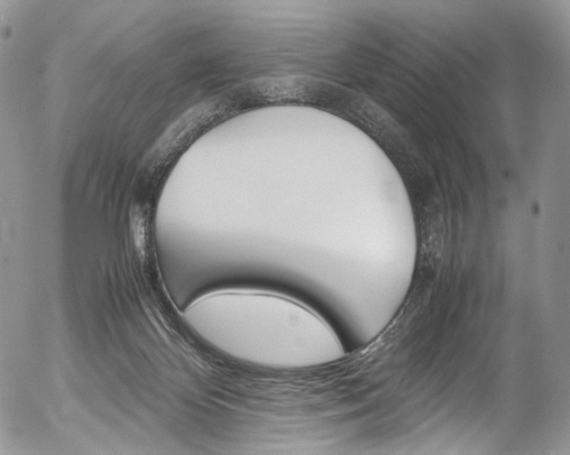 X0000054450124200507291001