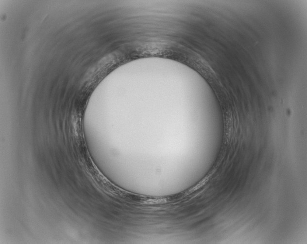 X0000054450126200507291001