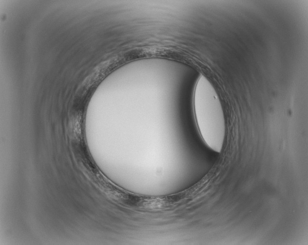 X0000054450127200507291001