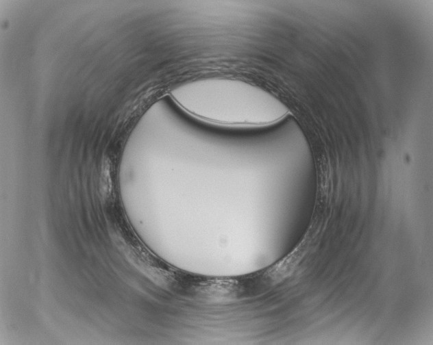 X0000054450128200507291001