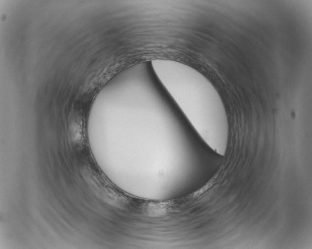 X0000054450134200507291001