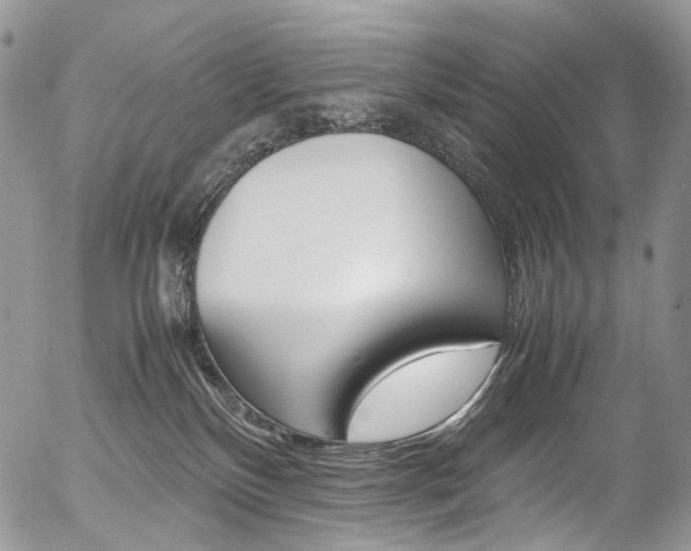 X0000054450136200507291001