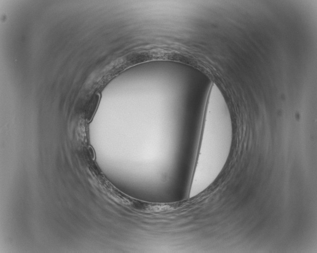X0000054450137200507291001