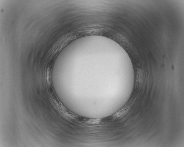 X0000054450138200507291001
