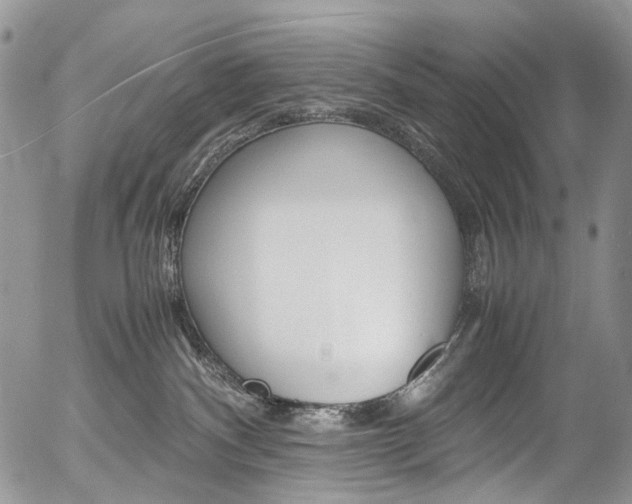 X0000054450140200507291001