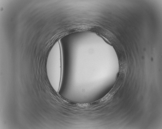 X0000054450143200507291001