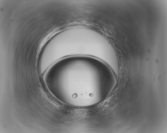 X0000054450150200507291000