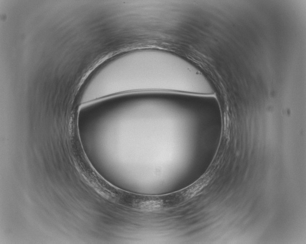 X0000054450156200507291000