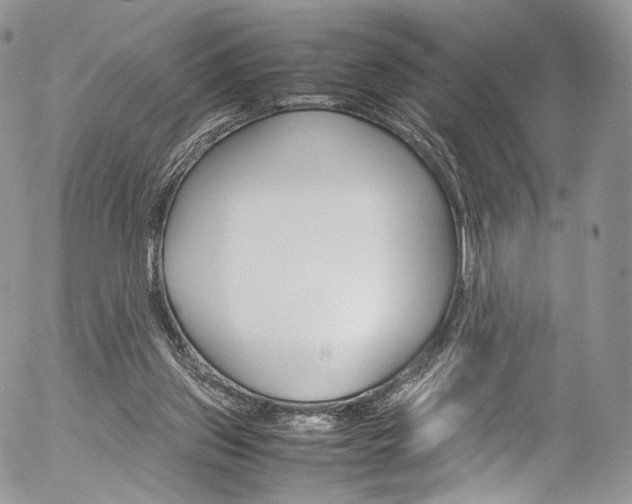 X0000054450157200507291000