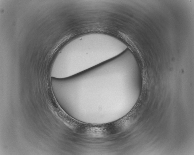 X0000054450163200507291000