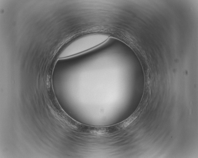 X0000054450164200507291000