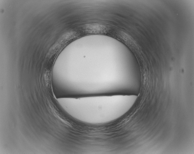 X0000054450165200507291000