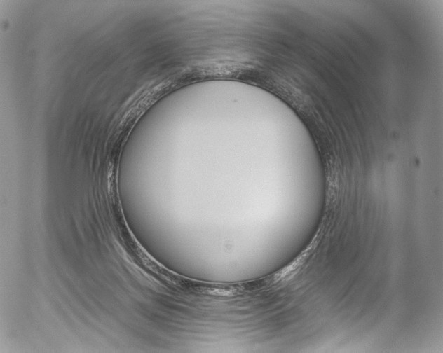 X0000054450166200507291000