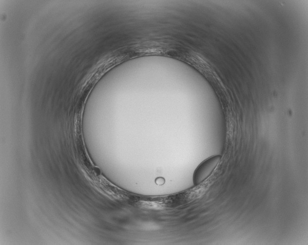 X0000054450167200507291000