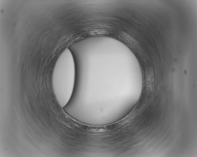 X0000054450169200507291000