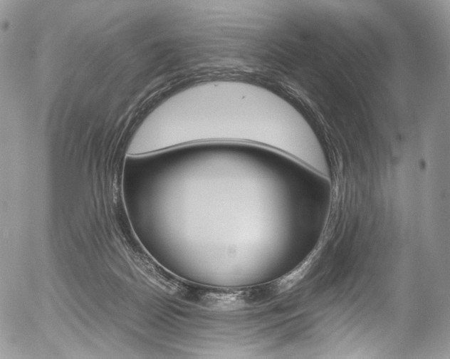 X0000054450170200507291000