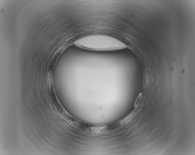 X0000054450172200507291000