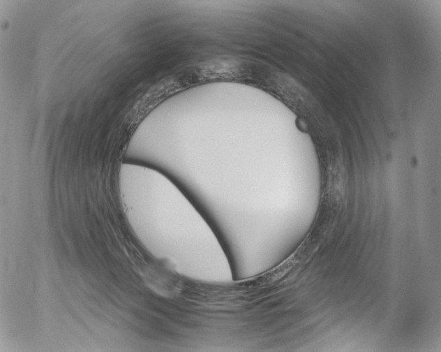 X0000054450173200507291000