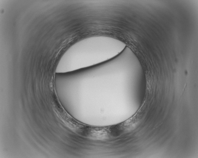 X0000054450175200507291000