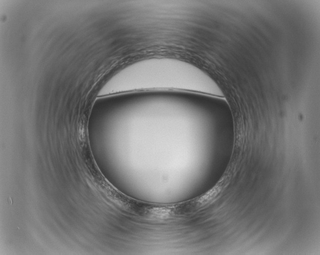 X0000054450176200507291000