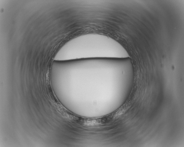 X0000054450177200507291000