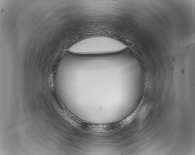 X0000054450182200507291000