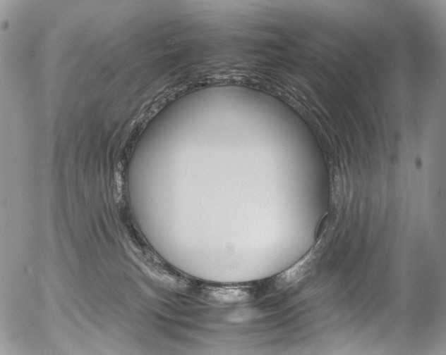 X0000054450183200507291000