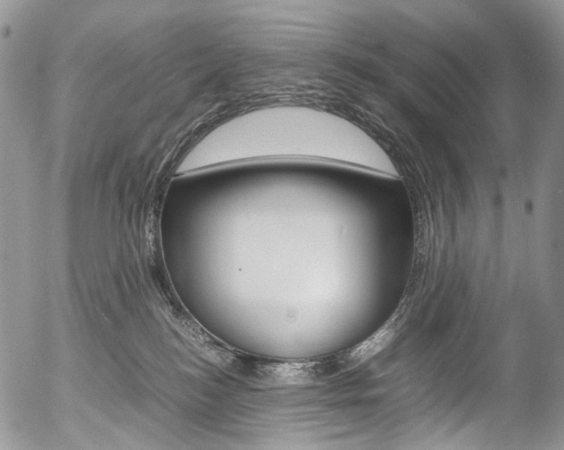X0000054450184200507291000