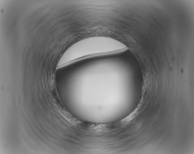 X0000054450186200507291000