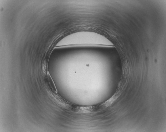 X0000054450188200507291001