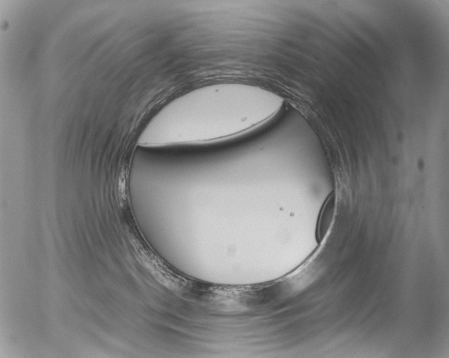 X0000054450190200507291001