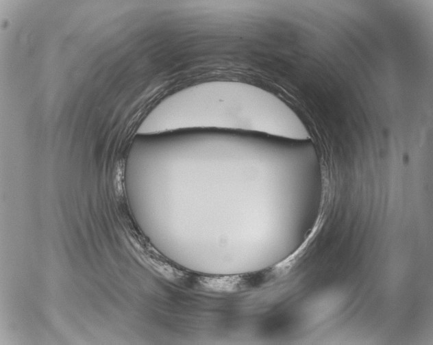 X0000054450191200507291001