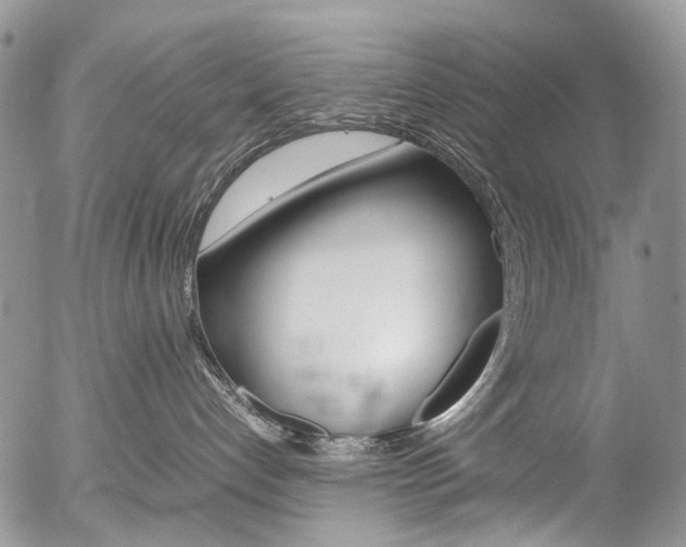 X0000054450192200507291001