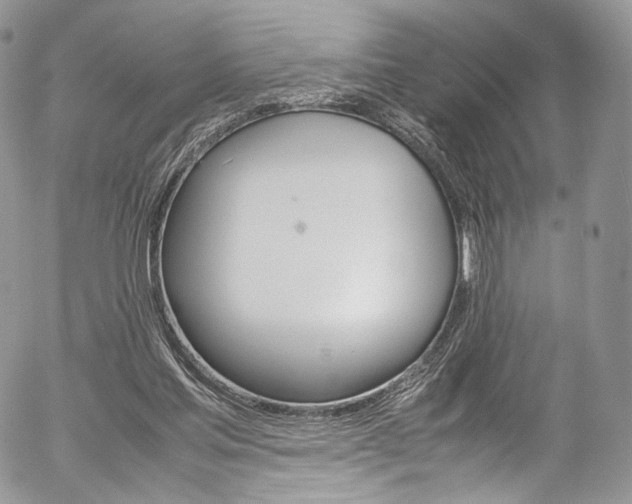 X0000054450205200507291000