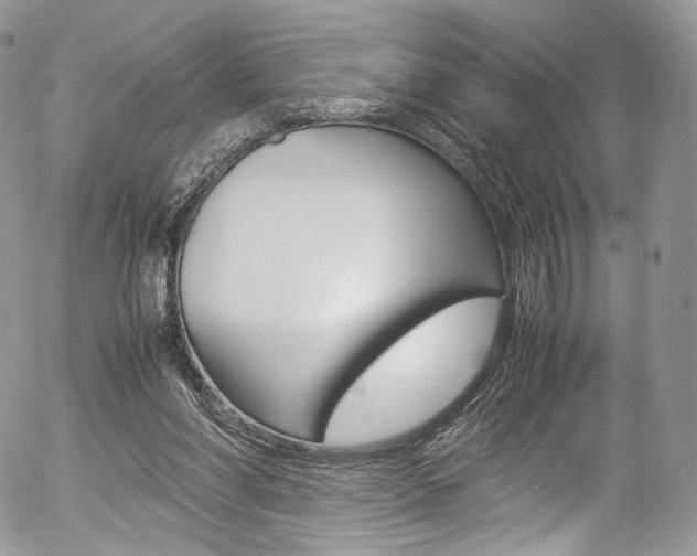 X0000054450206200507291000