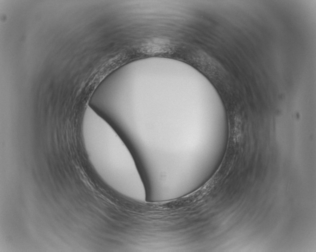 X0000054450210200507291000