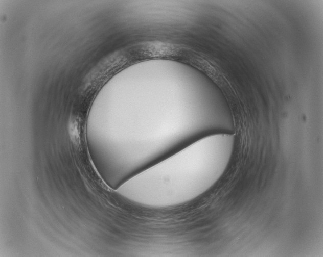 X0000054450214200507290959