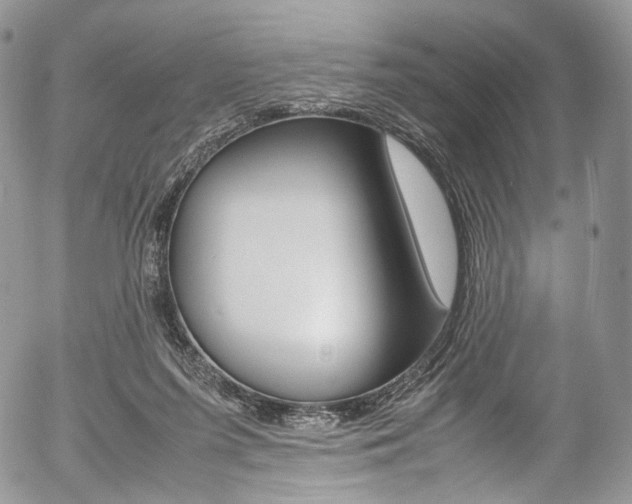 X0000054450215200507290959