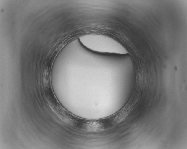 X0000054450218200507290959