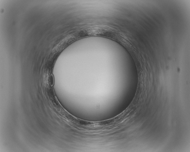 X0000054450219200507290959