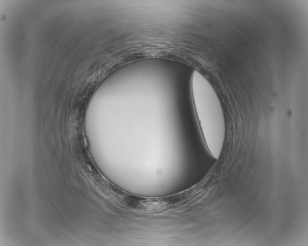 X0000054450221200507290959