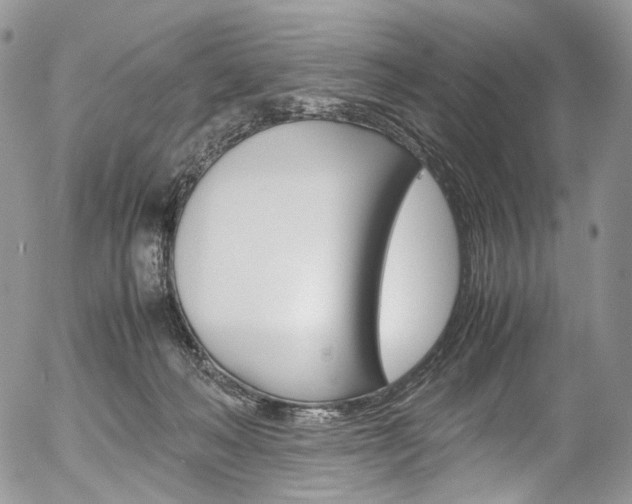 X0000054450222200507290959