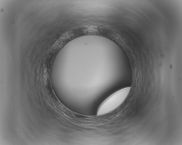 X0000054450223200507290959