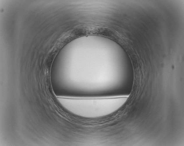 X0000054450225200507290959
