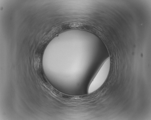 X0000054450227200507290959